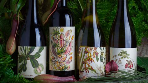 Beautiful Botanically Inspired Wine — The Dieline Packaging
