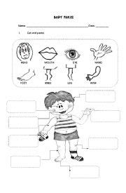 body parts worksheets