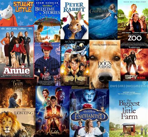 16 Filme De Văzut Pe Netflix în Vara Asta Blog In Tandem
