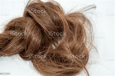 Brown Brunette Hair Isolated On White Background Hair In A Pile Tangled