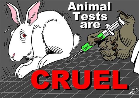 Top 188 Animal Testing Database