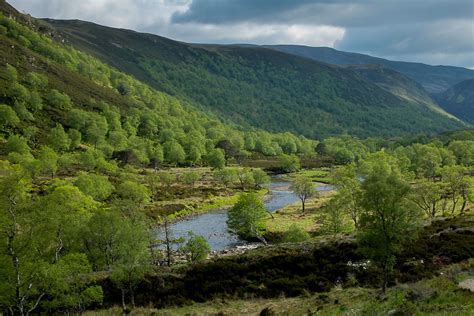 Our Pick 12 Of Scotlands Finest Native Forests Walkhighlands