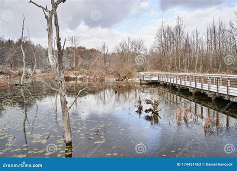 Boardwalk At Beaver Marsh In Cuyahoga Valley Stock Image Image Of