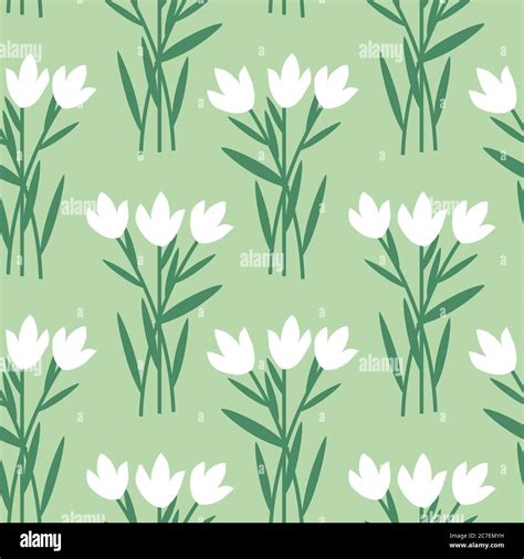 Seamless Decorative White Floral Pattern Stock Vector Image And Art Alamy