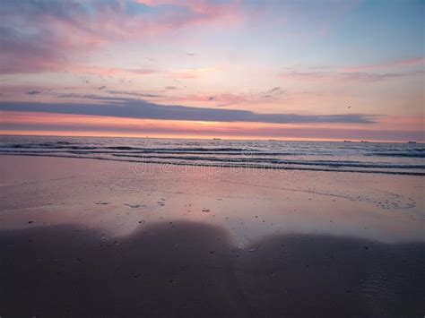Pink Sunset On Beach Stock Photo Image Of Ocean Quiet