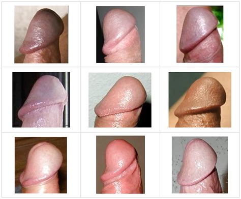 Different Penis Lengths Naked Girls And Their Pussies