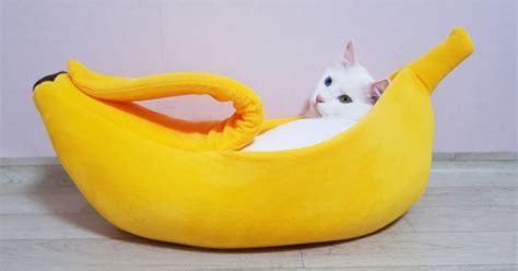 Check Out These Cat Banana Beds From 1298 Delivered Walmart