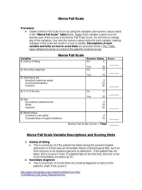 Morse Fall Scale Wheelchair Medicine