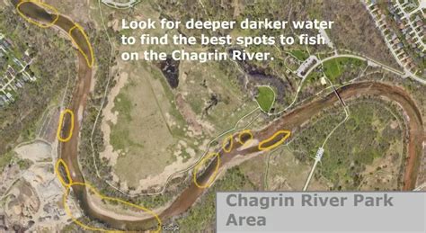 Chagrin River Steelhead Fishing Maps Methods And More February 29