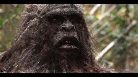 Bigfoot Caught On Tape Hit Network