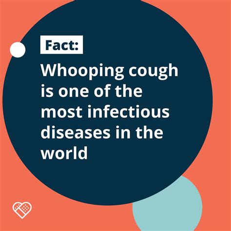 whooping cough is one of the most infectious diseases in the world — immunisation foundation of