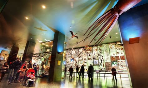 Top 5 Highlights To See The American Museum Of Natural History