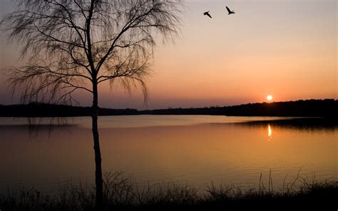 Wallpaper Sunlight Landscape Sunset Lake Water