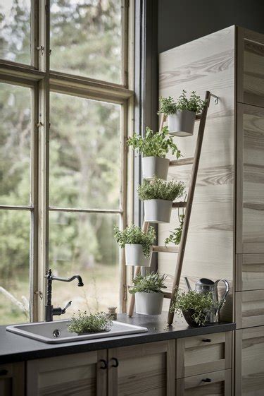 Prediction Youre Going To Love These 6 Plant Filled Kitchen Window