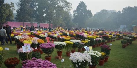 Splendid Flower Show In Lucknow Socialmaharaj