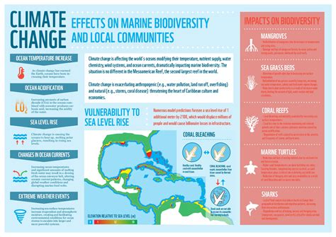 Climate Change Effects On Marine Biodiversity And Local Communities Bifrost