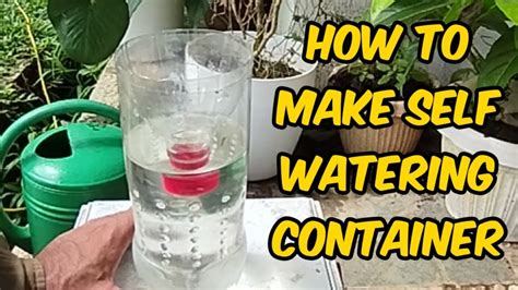 How To Make Self Watering Container Diy Youtube