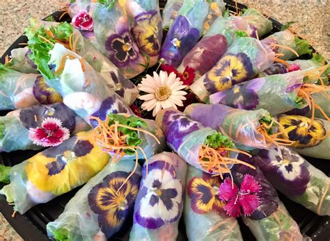 Fresh Summer Spring Rolls With Organic Edible Flowers For Catering