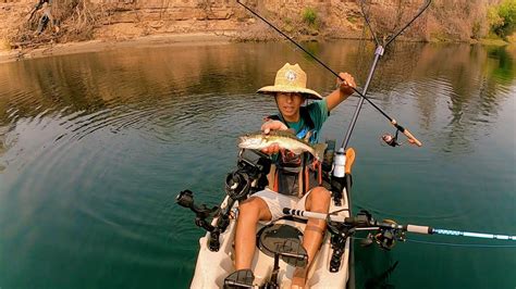 Secret Bass Fishing Spot In The Sacramento River Dozens Of Bass