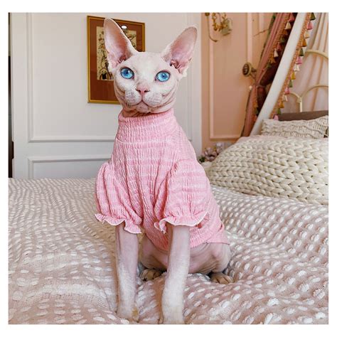 Sphynx Cat Tee Shirt Hairless Cat Clothes Summer Romper Etsy