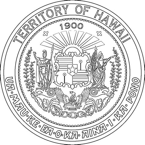 Draw baby seal step step kids drawing. seal-hawaii (1024×1024) | Coloring pages, Seal, Color