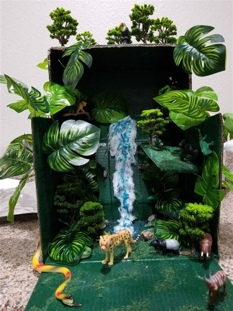 Tropical Rainforest Biome Project For Kids I Ordered Everything From