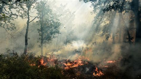Comme chaque année pendant l'été, la préfecture du var réglemente la pénétration, la circulation et le stationnement sur certaines voies desservant les 9 massifs forestiers varois. Incendies dans le Var: "catastrophe écologique" selon un ...