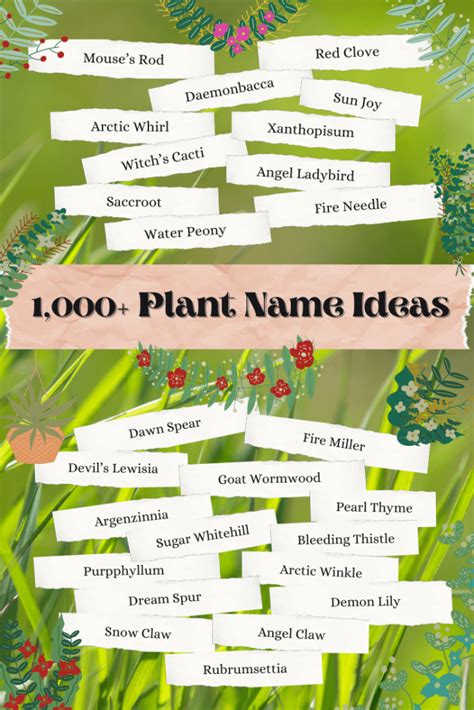 Plant Name Generator 1 000 Fantasy Plant Name Ideas Imagine Forest