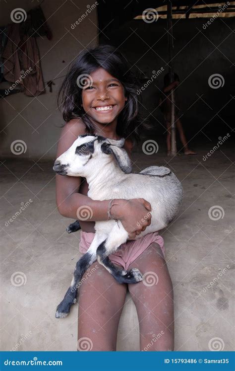 Indian Village Girl Editorial Photo Image Of Goat Health