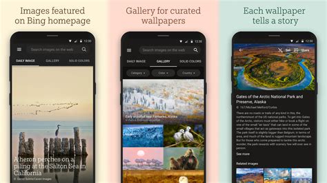 Download Microsoft Bing Wallpapers Apk For Automatic Background Updates