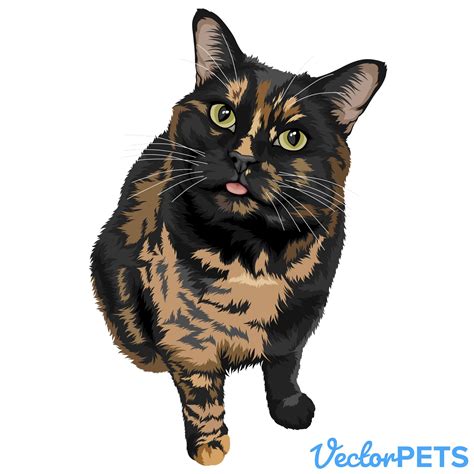 Tortoiseshell Cat Illustration Pet Cat Art By Vector Pets Cat