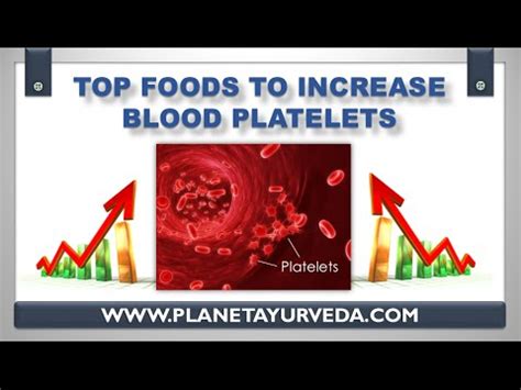 It also helps to remove metabolic waste products such as carbon dioxide and uric acid. Top 15 Foods to Increase Blood Platelets - YouTube