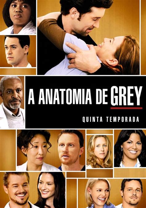 Anatomia de Grey Temporada 5 assista episódios online streaming
