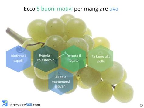 Check spelling or type a new query. Uva: proprietà, calorie, valori nutrizionali, benefici e ...