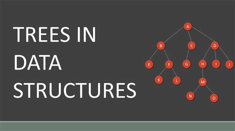 Tree Data Structure Application Of Tree Data Structure Youtube
