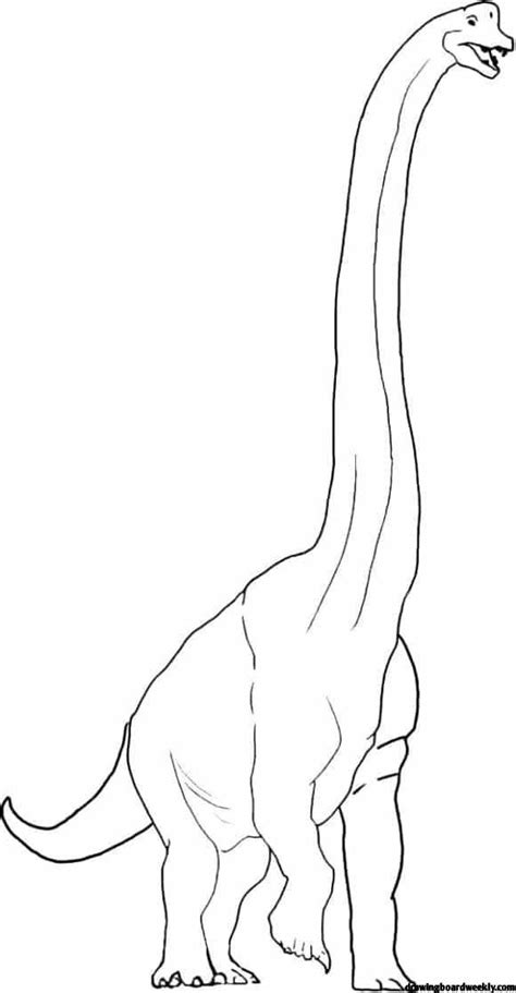 inspirational brachiosaurus coloring page hd | Brachiosaurus, Coloring pages, Color