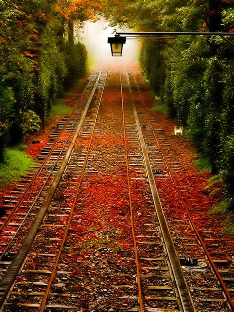 The Best Travel Photos Autumn Railroad Tracks Pennsylvania