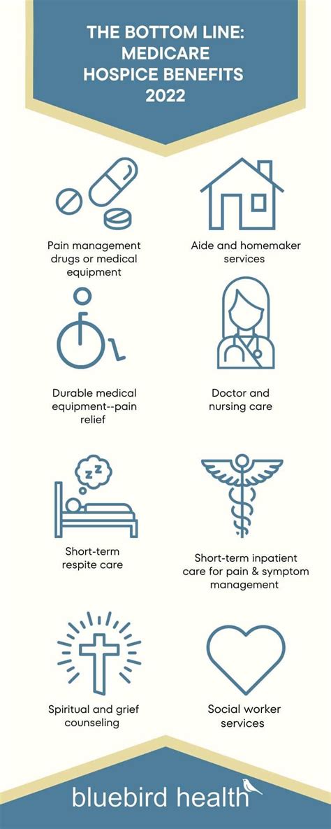Medicare Hospice Benefits Infographic Bluebird Health