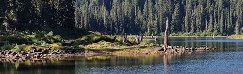 Goose Lake Campground Washington Alltrails