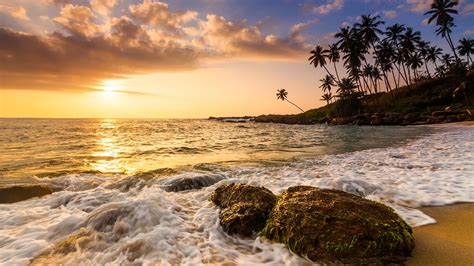 Sunset On The Sandy Beach With Coconut Palms Sri Lanka Windows 10