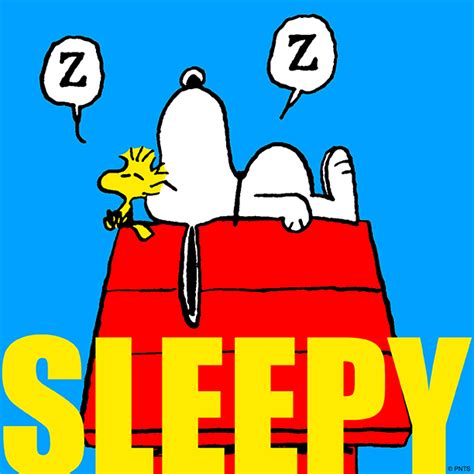 Sleepy Snoopy Sleepy Woodstock Goodnight Snoopy Snoop