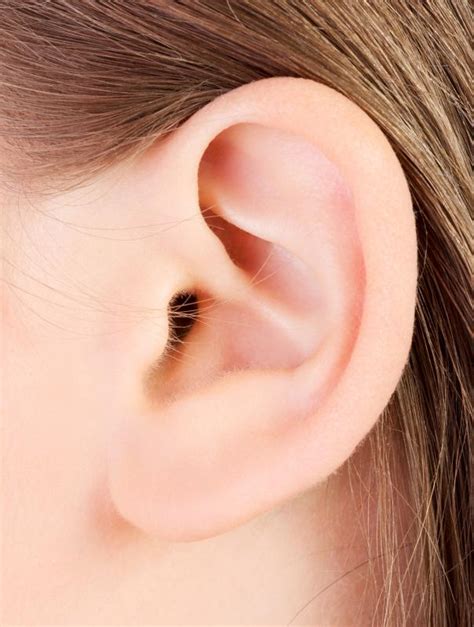 What Are The Most Common Ear Diseases With Pictures