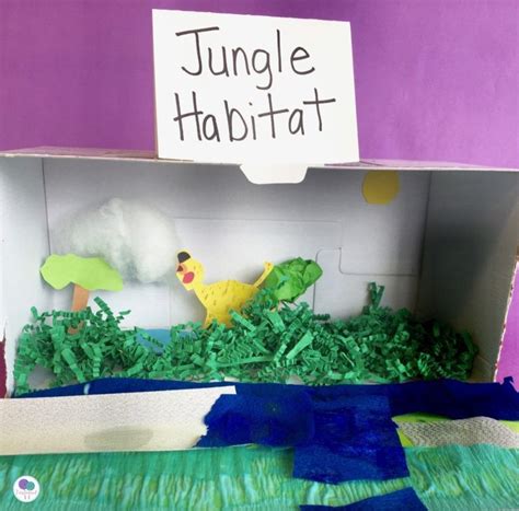 Animal Habitats A First Grade Research Project Firstieland Animal