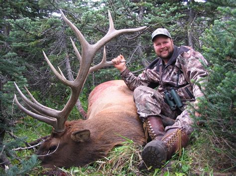 British Columbia Elk Hunts Steves Outdoor Adventures