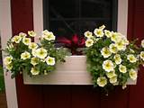 Images of Window Box Ideas With Artificial Flowers