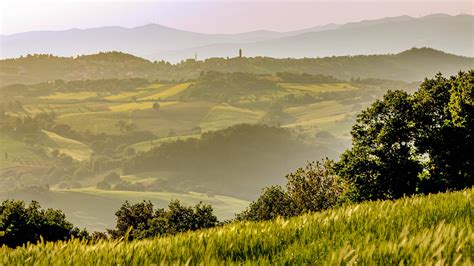 Pomerance Tuscany In The Late Afternoon 4k Wallpaper