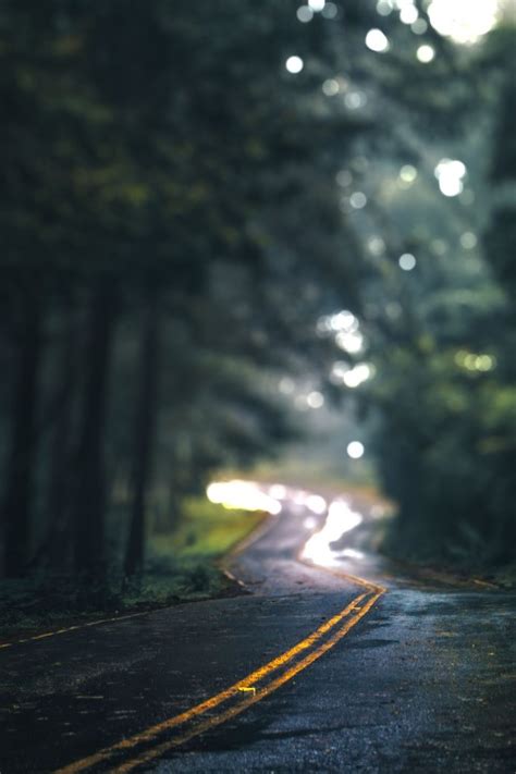 Road With Tree Cb Editing Background Hd Download Cbeditz