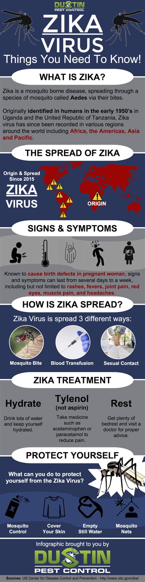 Zika Virus Everything You Need To Know Infographic