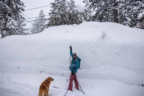 Photos Mammoth Mountain Ca Closed Today Due To Too Much Snow With