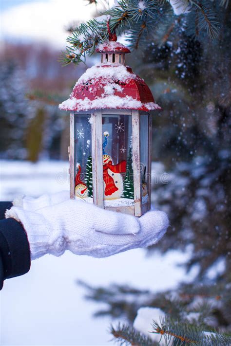Christmas Lantern On Fir Branch In Snow Winter Day Stock Photo Image